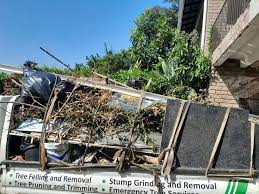 Best Estate Cleanout  in Panguitch, UT