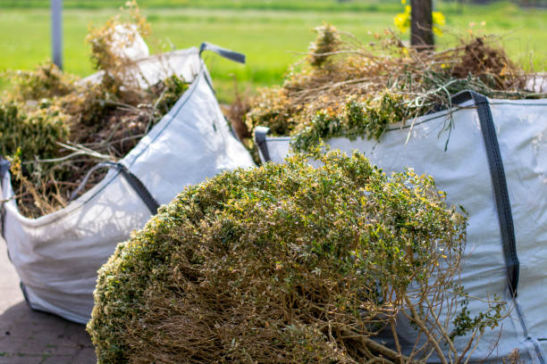  Panguitch, UT Junk Removal Services Pros